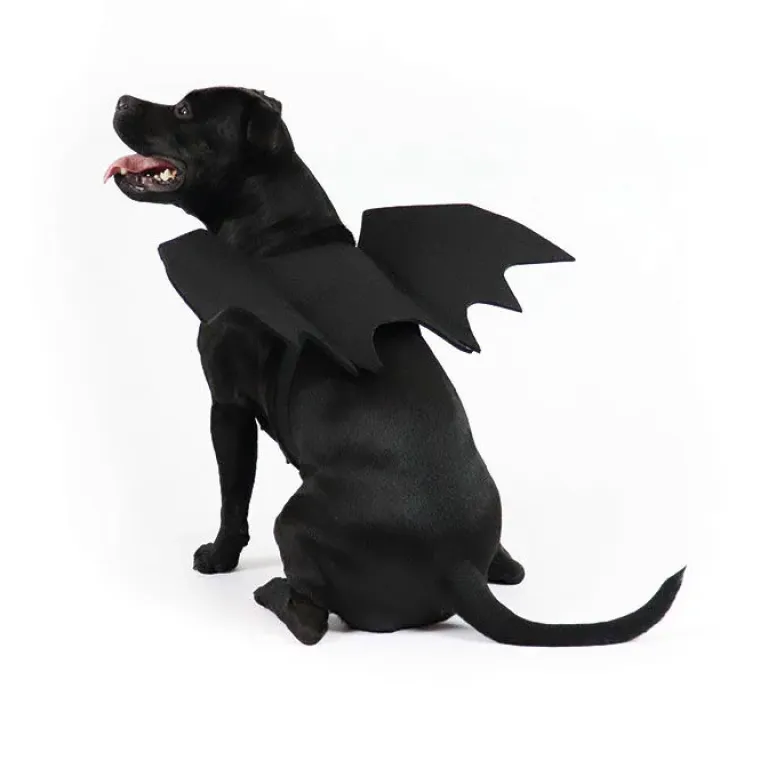 Halloween^Ollipet Flagermusvinger til hunde