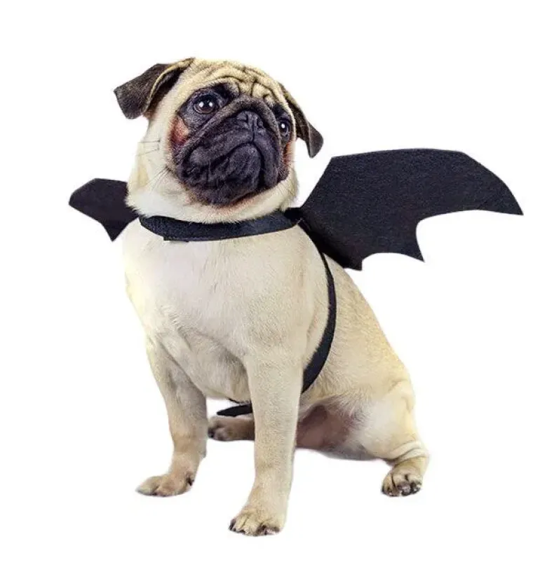 Halloween^Ollipet Flagermusvinger til hunde