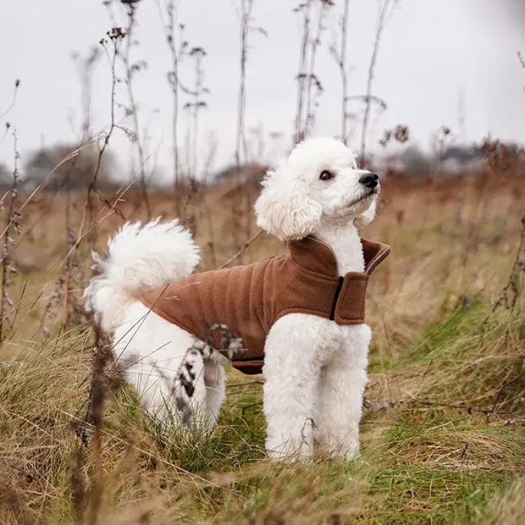 Separationsangst|Nytårskurven^Noble Pet Fleecedækken til hunde