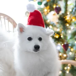 Julekurven^Ollipet Formfast Nissehue til hunde