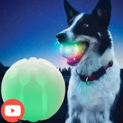 Bolde|Ollipet Hundelegetøj^Ollipet Glow Streak LED hundebold