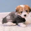 Julekurven|Hundetøj^Cotonshoppen Grå hundesweater med snefnug
