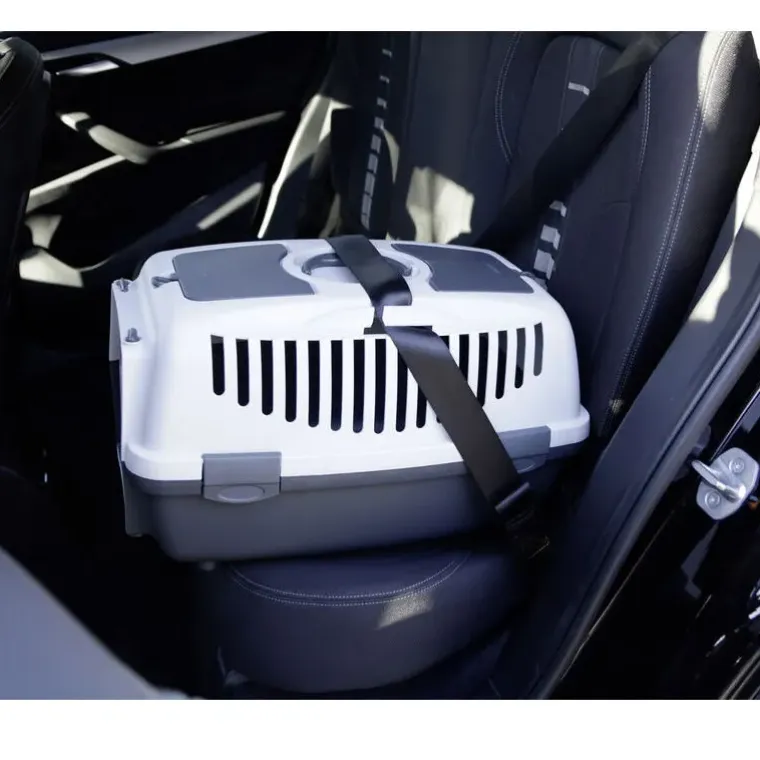Biltransport Af Hund|Flytasker^Stefanplast Gulliver Transportbur
