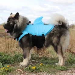 ☀️Sommerklar|Hundeferien^Ollipet Haj redningsvest