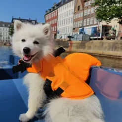 ☀️Sommerklar|Hundeferien^Ollipet Haj redningsvest