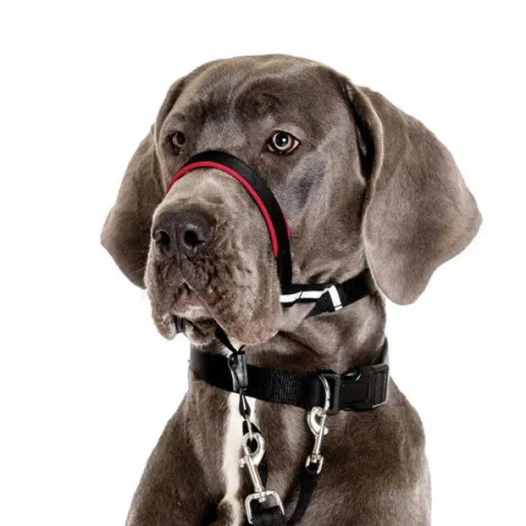 Hundeseler^Halti OptiFit snudesele