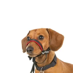 Hundeseler^Halti OptiFit snudesele