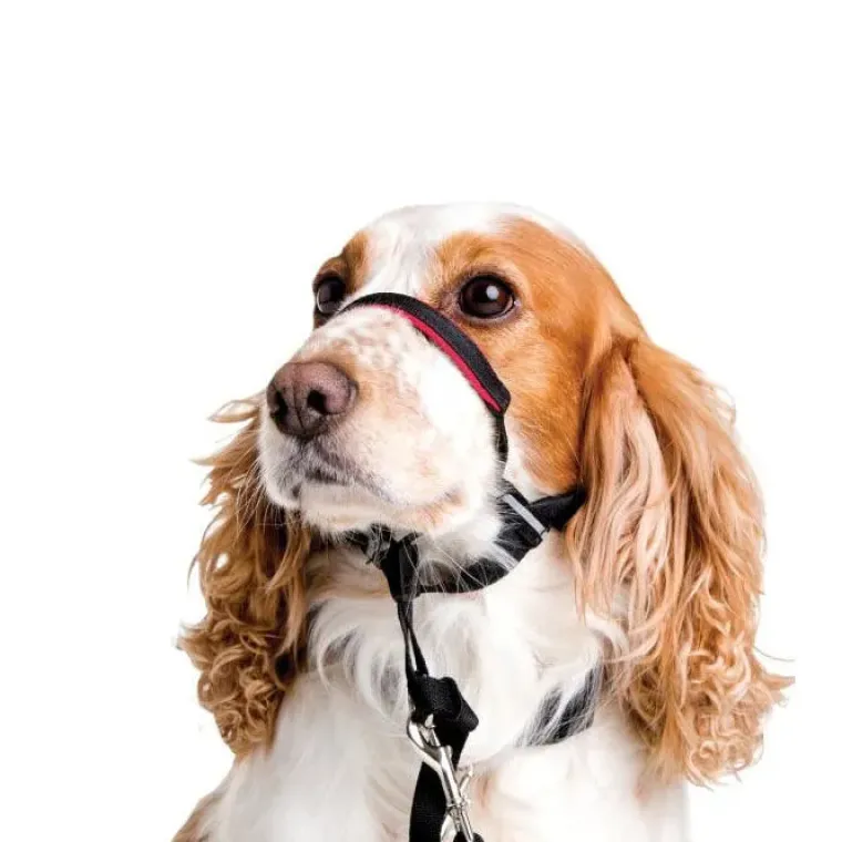 Hundeseler^Halti OptiFit snudesele