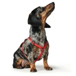 Hundeseler^Hunter London Vario Rapid Hundesele