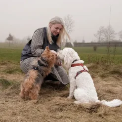 Hundeseler^Hurtta Casual Y-Sele ECO | OUTLET