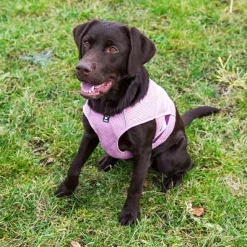 ☀️Sommerklar|Hundeferien^Hurtta Cooling Wrap Kølevest | OUTLET Lyserød