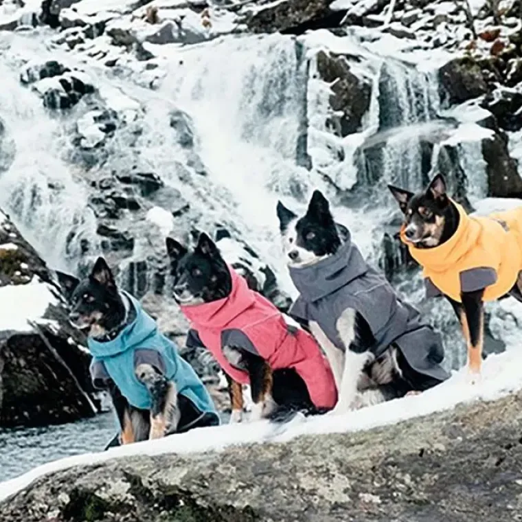 Efterårsklar|Hundetøj^Hurtta Expedition Parka | Dækken | OUTLET