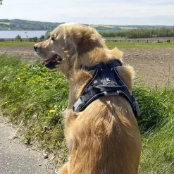 Hundeseler^Hurtta Weekend Warrior Sele | OUTLET