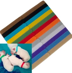 Hundehalsbånd|Nyfødte Hvalpe 0-8 Uger^Cotonshoppen ID hvalpehalsbånd | 12 stk. Velcro