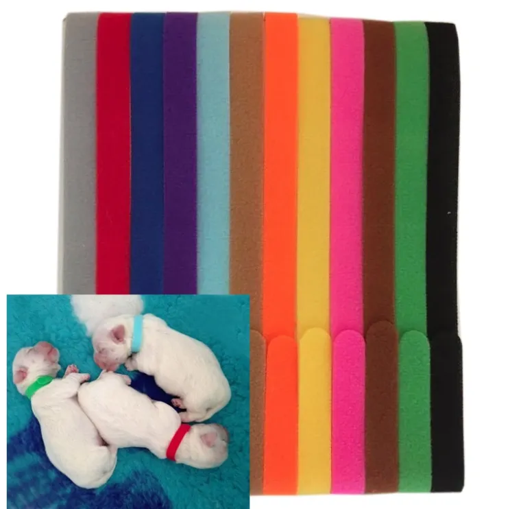 Hundehalsbånd|Nyfødte Hvalpe 0-8 Uger^Cotonshoppen ID hvalpehalsbånd | 12 stk. Velcro