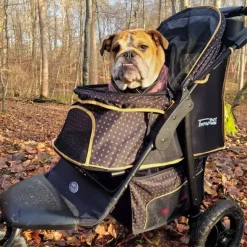 Hundeklapvogn^InnoPet Adventure | Hundeklapvogn