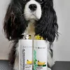 Hundeshampoo Og Hundebalsam^Iv san Bernard ISB Banana Conditioner