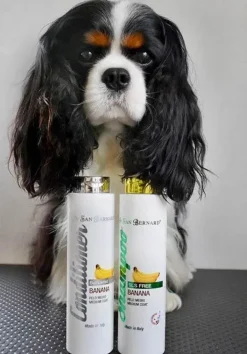 Hundeshampoo Og Hundebalsam^Iv san Bernard ISB Banana Conditioner