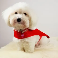 Julekurven^Companion Julemandstøj til hund