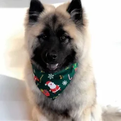 Julekurven^Ollipet Juletørklæde til hund eller kat |