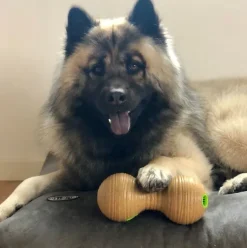 Aktivitetslegetøj Til Hunde|Kong Hundelegetøj^KONG Bamboo feeder dumbell