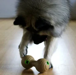 Aktivitetslegetøj Til Hunde|Kong Hundelegetøj^KONG Bamboo feeder dumbell