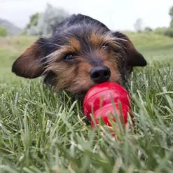 Aktivitetslegetøj Til Hunde|Nytårskurven^KONG Easy Treat