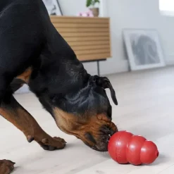 Aktivitetslegetøj Til Hunde|Latex- Og Gummilegetøj^KONG Original