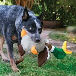 Plyslegetøj Til Hunde|Naturtro Hundebamser^KONG Shakers Honkers Duck