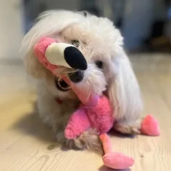 Hvalpelegetøj|Kong Hundelegetøj^KONG Shakers Honkers Flamingo