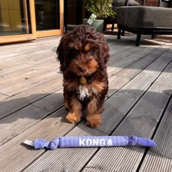Hundelegetøj Uden Piv|Hvalpelegetøj^KONG Signature Crunch Rope Puppy