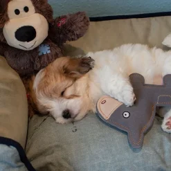 Plyslegetøj Til Hunde|Hvalpelegetøj^KONG Wild Knots Bears | Bamse med reb