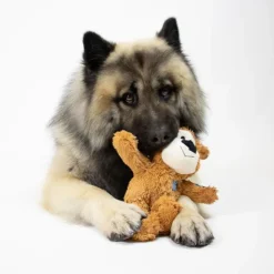 Plyslegetøj Til Hunde|Hvalpelegetøj^KONG Wild Knots Bears | Bamse med reb