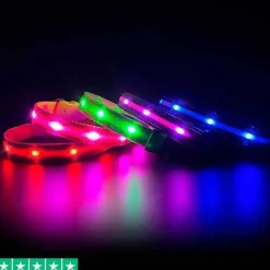 Efterårsklar|Løbeturen^Cotonshoppen LED-hundehalsbånd | Genopladelig