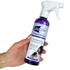 Pelspleje|Hundeferien^Leucillin Antiseptisk spray