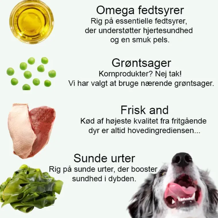 Hundemad^Little Big Paw Tender Duck & Vegetable Dinner