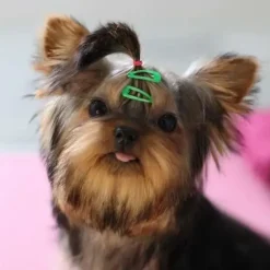 Hårpynt Til Hunde^Cotonshoppen Mini hårspænde | 2 cm