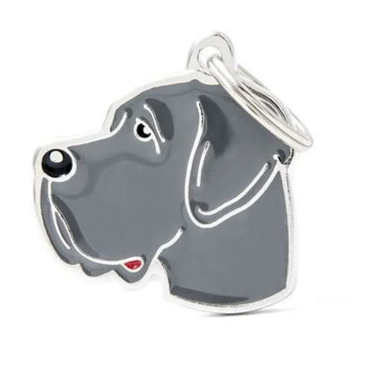 Charms Med Hunderacer Og Andre Dyr^MyFamily My Family | Hundetegn Grand danois | OUTLET