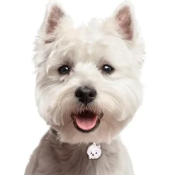 Hundetegn|Charms Med Hunderacer Og Andre Dyr^MyFamily My Family | Hundetegn West Highland White Terrier