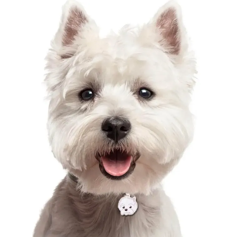 Hundetegn|Charms Med Hunderacer Og Andre Dyr^MyFamily My Family | Hundetegn West Highland White Terrier