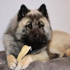 Godbidder Og Gnaveben^My Treat Elghud | 1 stk