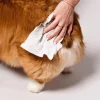 Helse Til Hunde|Miljøvenlige, Bæredygtige & Øko Produkter^Natural Dog Company Grooming Wipes | 50 stk
