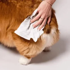 Helse Til Hunde|Miljøvenlige, Bæredygtige & Øko Produkter^Natural Dog Company Grooming Wipes | 50 stk