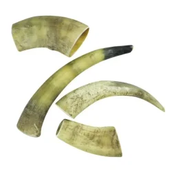 Single Protein & Foder & Godbidder|Godbidder Og Gnaveben^NATURBEN Cattle Horn