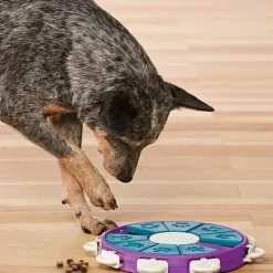 Aktivitetslegetøj Til Hunde^Nina Ottosson Dog Twister | niveau 3