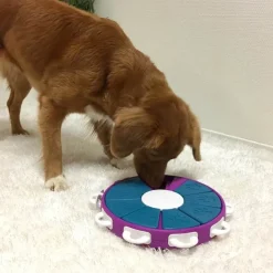 Aktivitetslegetøj Til Hunde^Nina Ottosson Dog Twister | niveau 3