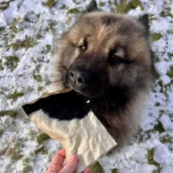 Godbidder Og Gnaveben^Njord Pet Oksechips |1 stk