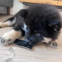 Godbidder Og Gnaveben^Njord Pet Oksestrimler |1 stk