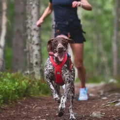 Hundeseler|Løbeturen^Non-stop dogwear Freemotion Harness 5.0 Pink | OUTLET