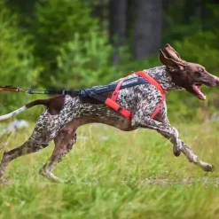 Hundeseler|Løbeturen^Non-stop dogwear Freemotion Harness 5.0 Pink | OUTLET